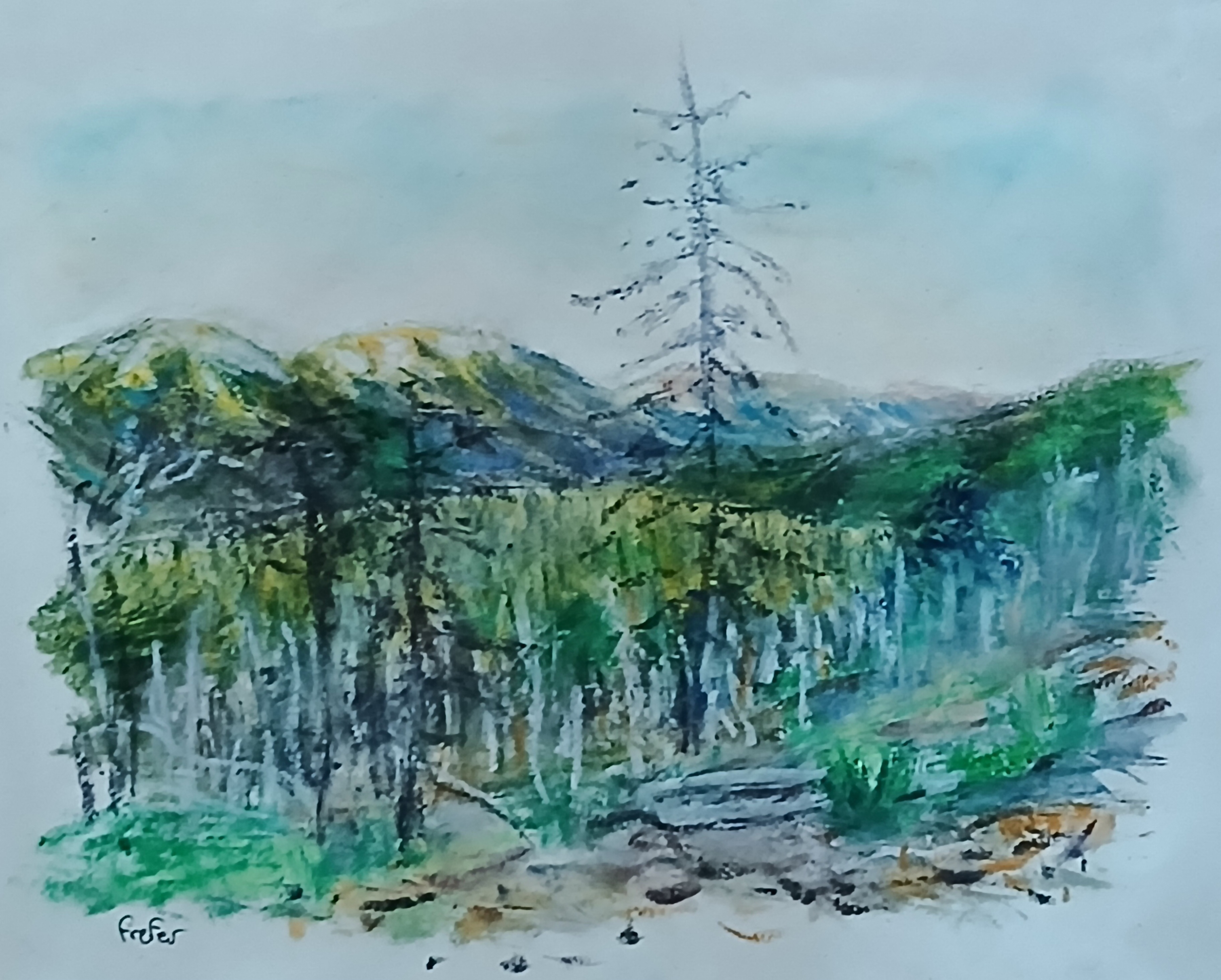 Bocca di Verde