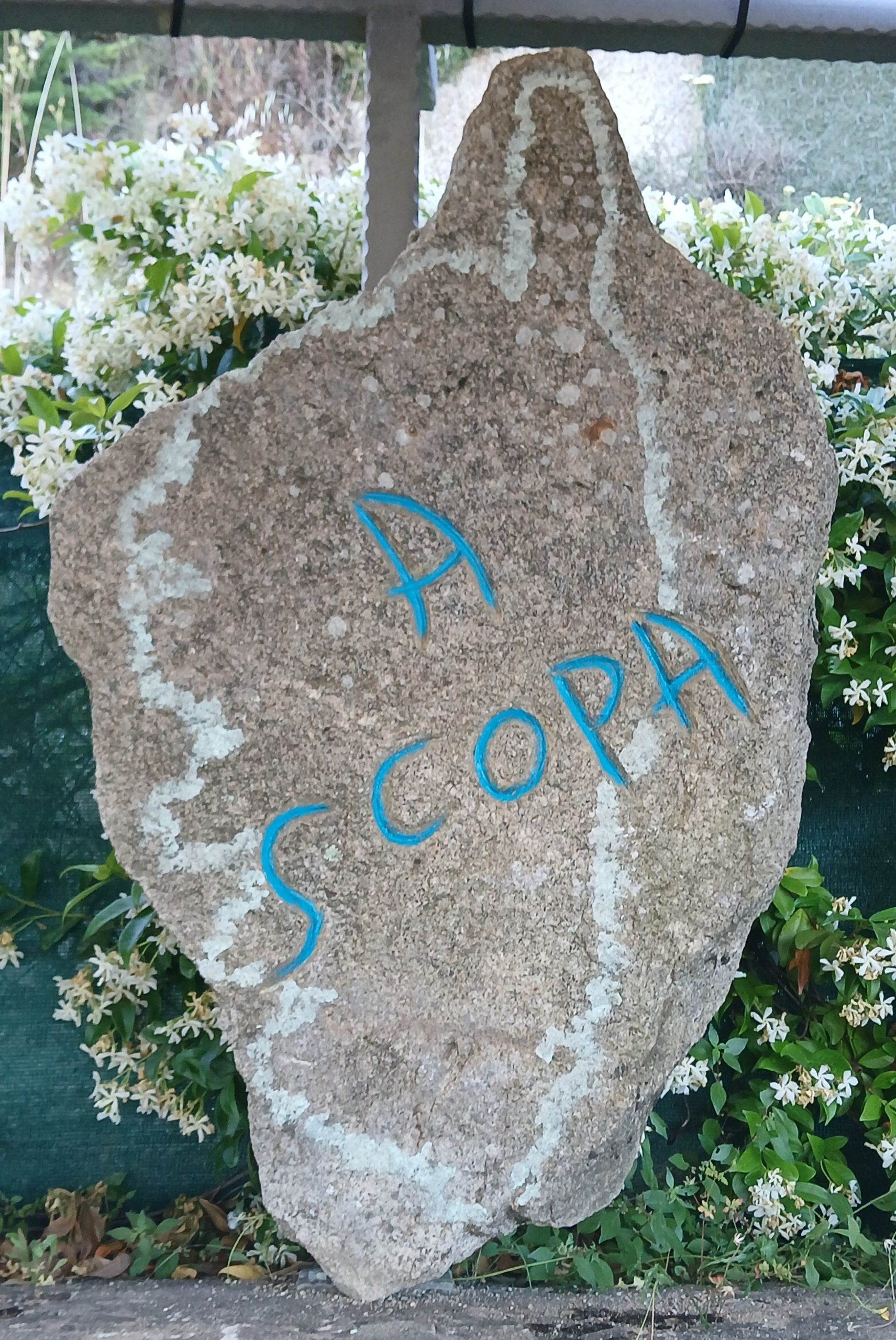 A Scopa