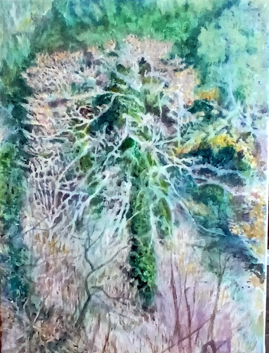Fraxinus