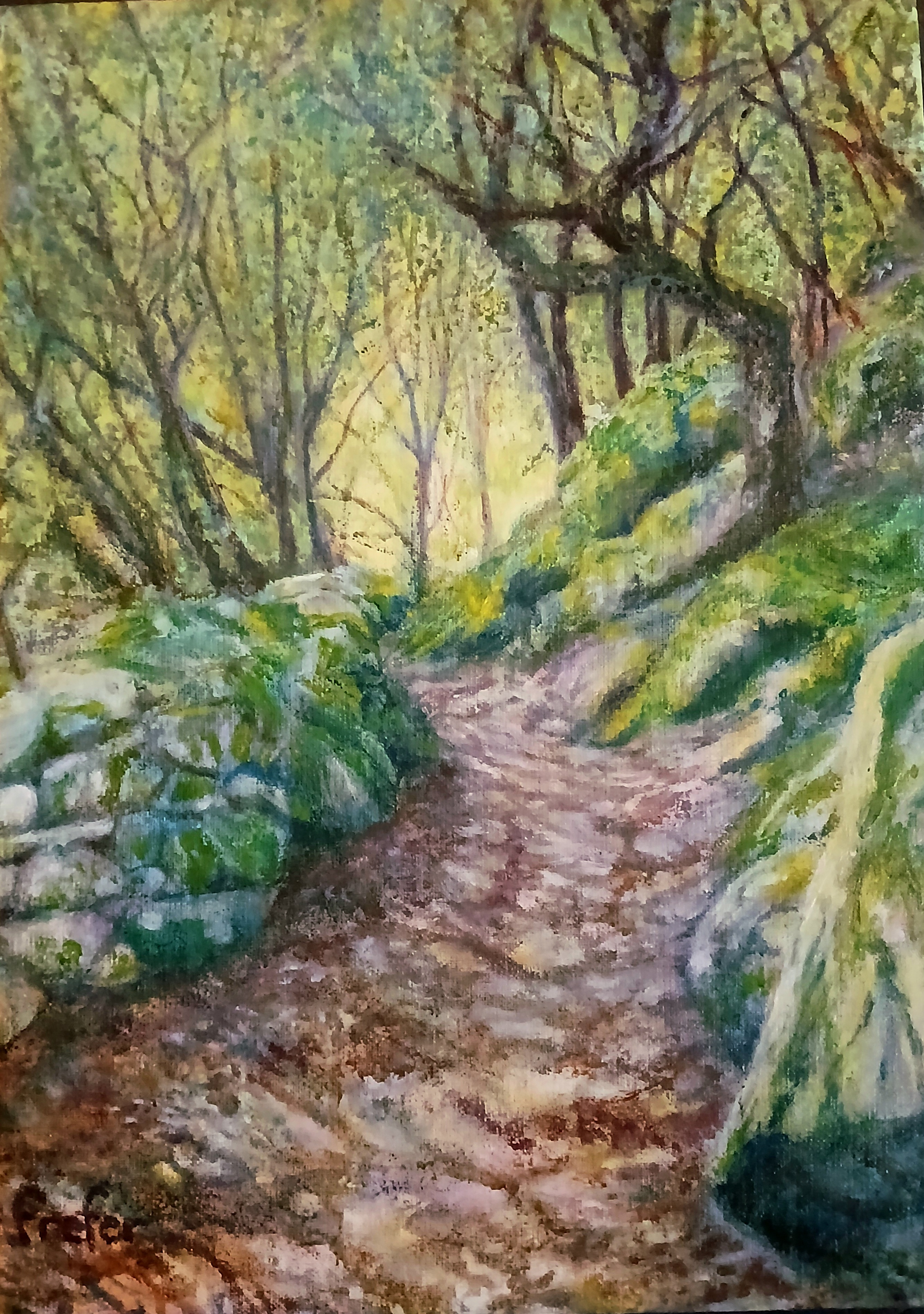 Sentier de Cuciurpula
