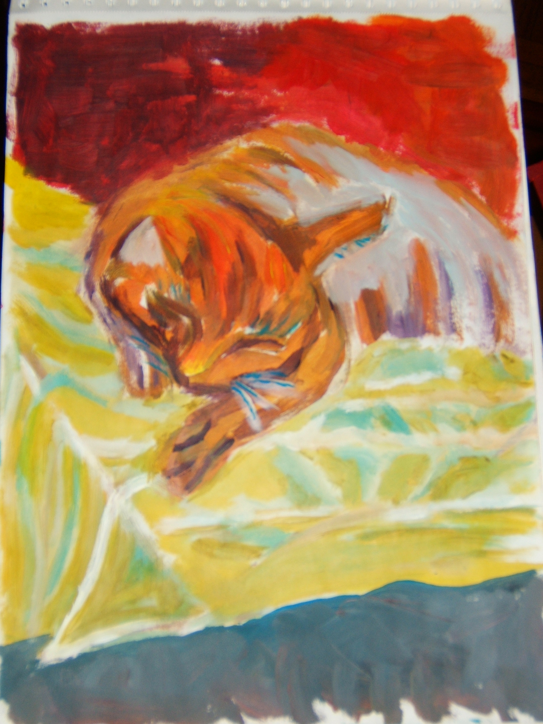 Katze