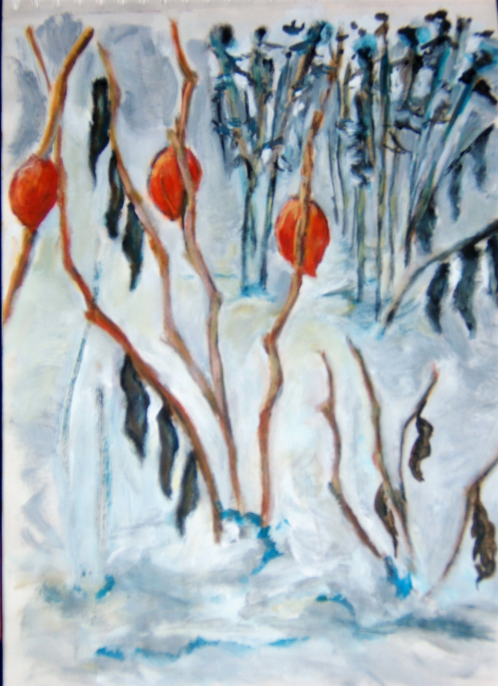 Physalis