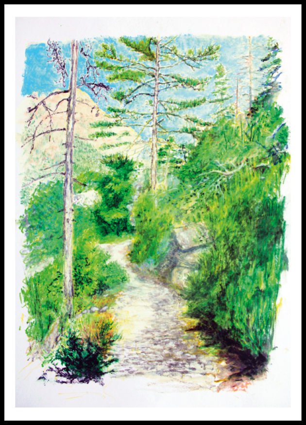 Tavignanu